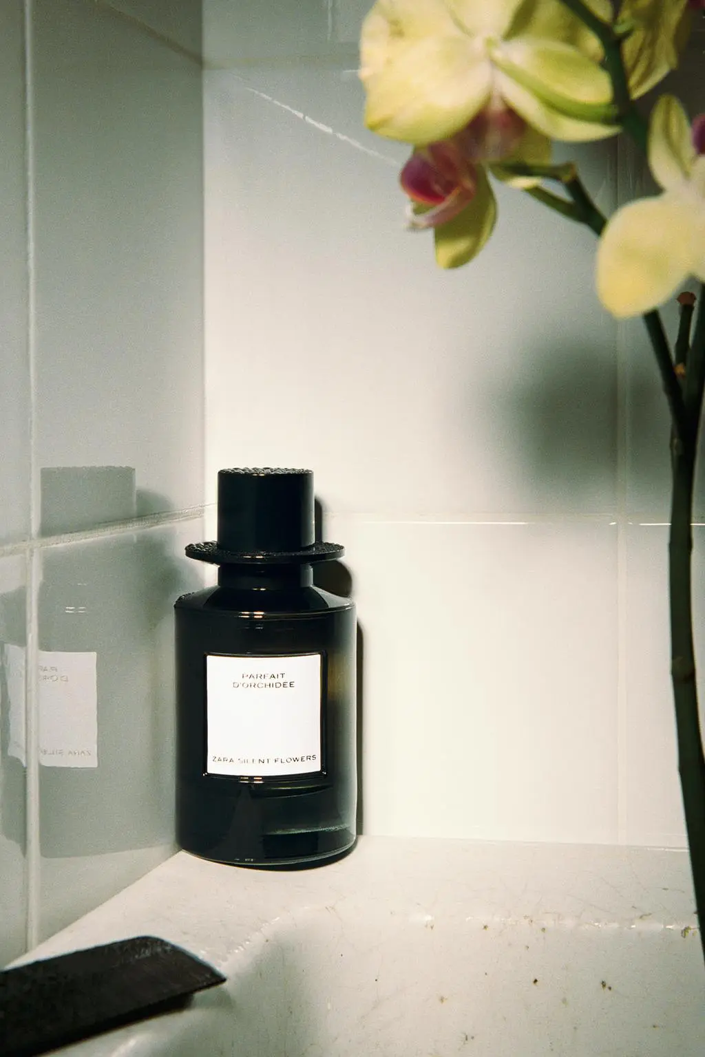 عطر زنانه کوکو شنل