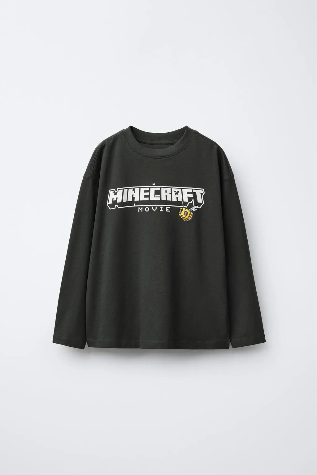zara product image