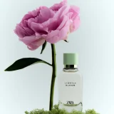 zara product image