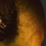 zara product image