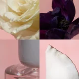 zara product image