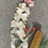 zara product image
