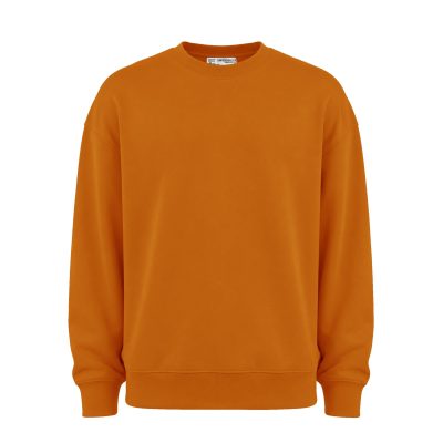 دورس بیسیک یقه‌گرد