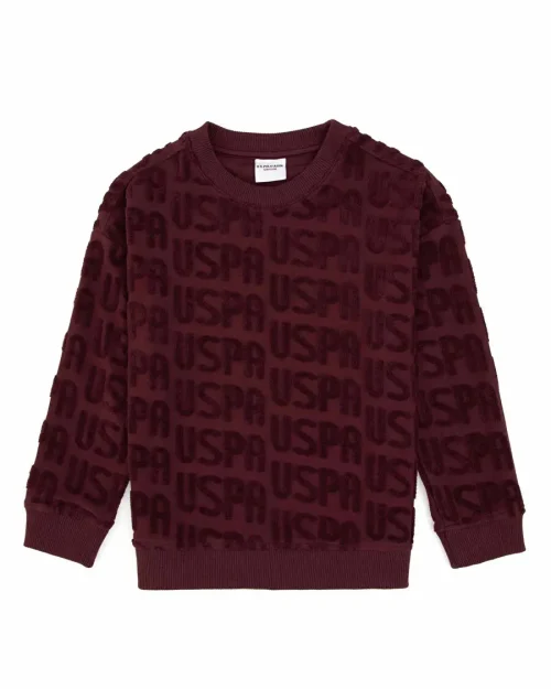 U.S. Polo Assn. مردانه بوردو طرح‌دار سویشرت DACHARY