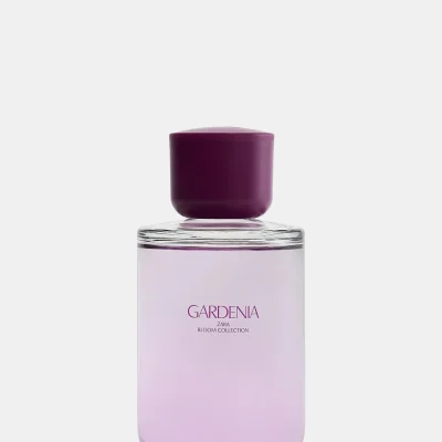 عطر زنانه XL مدل PERFU-XL zara