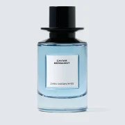 zara product image