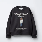 zara product image