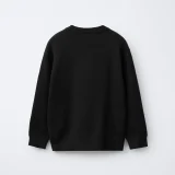 zara product image