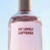 zara product image