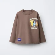 zara product image