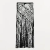 zara product image
