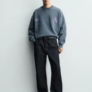 zara product image