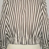 zara product image
