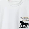 zara product image