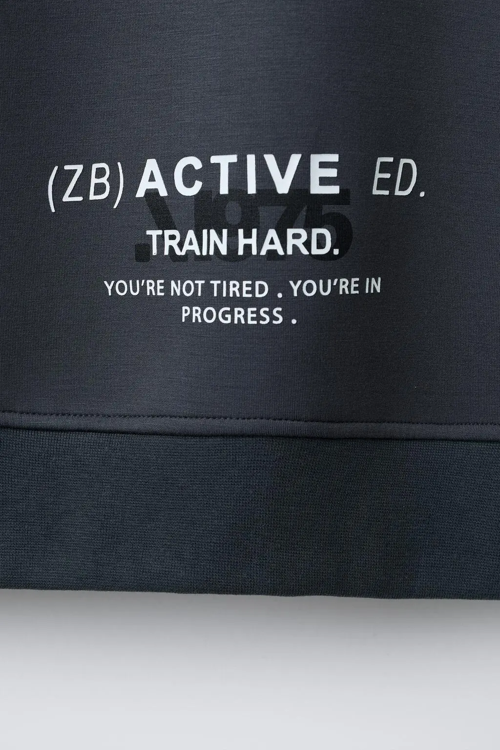 zara product image
