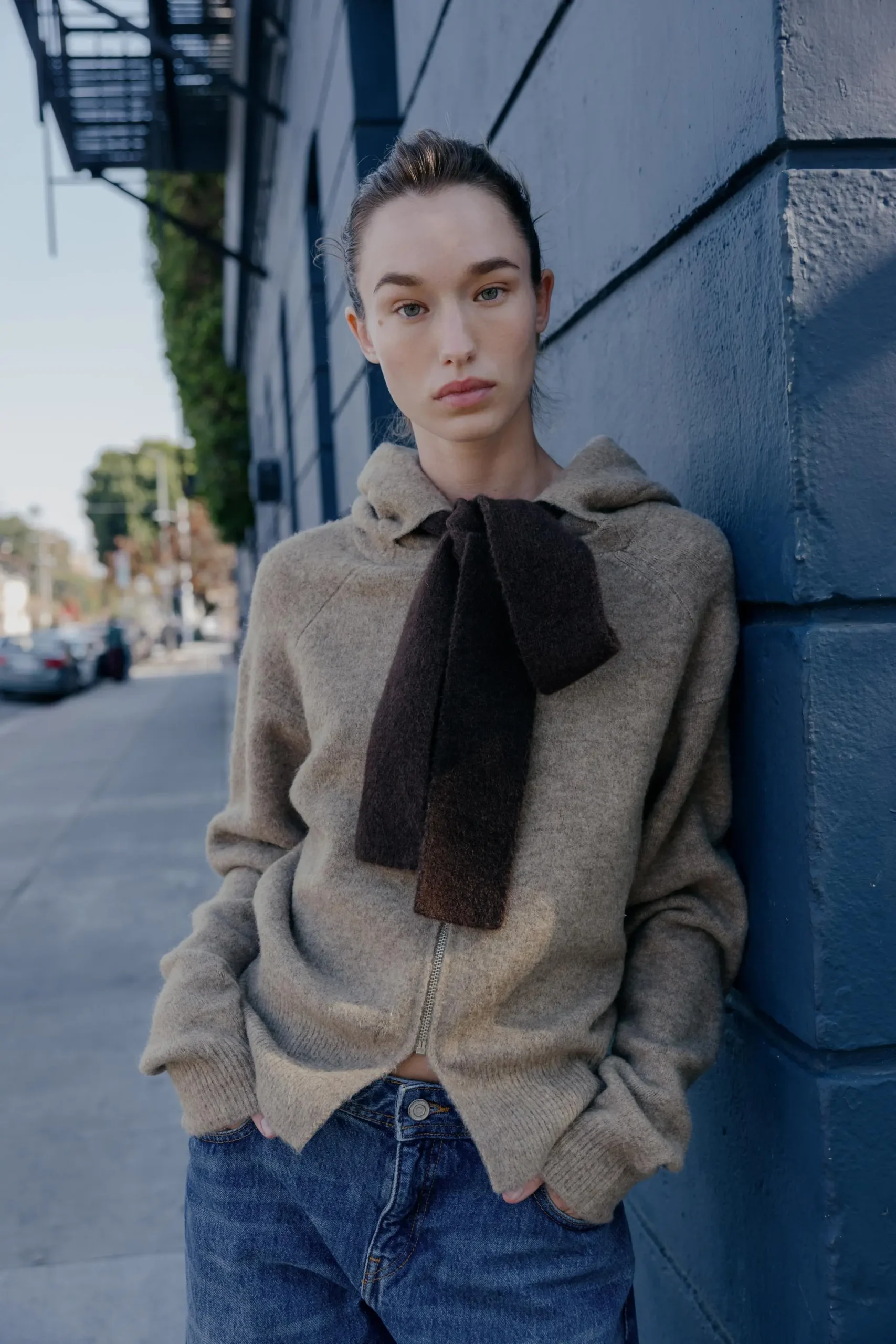zara product image