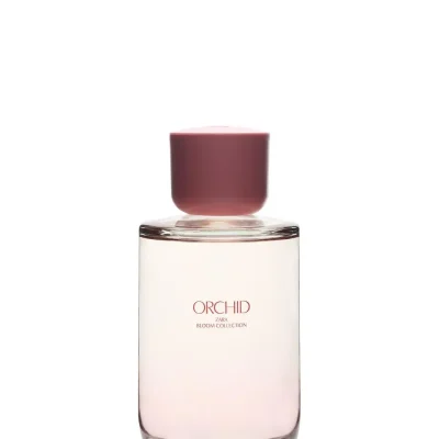 عطر زنانه پرلوکس XL zara