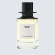 zara product image