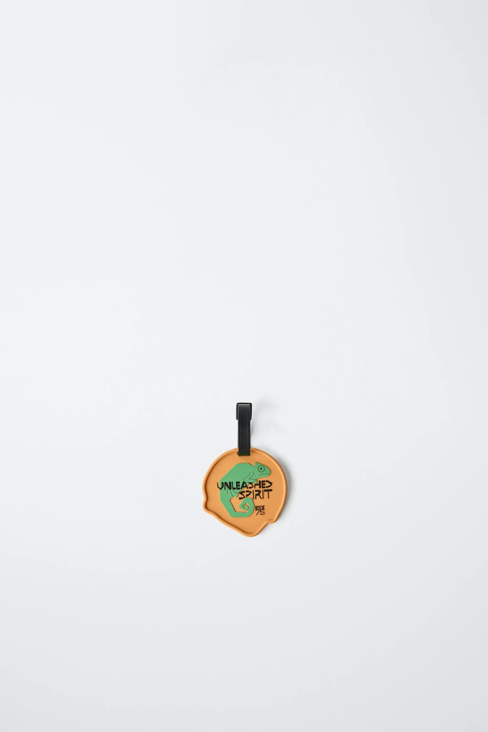 zara product image