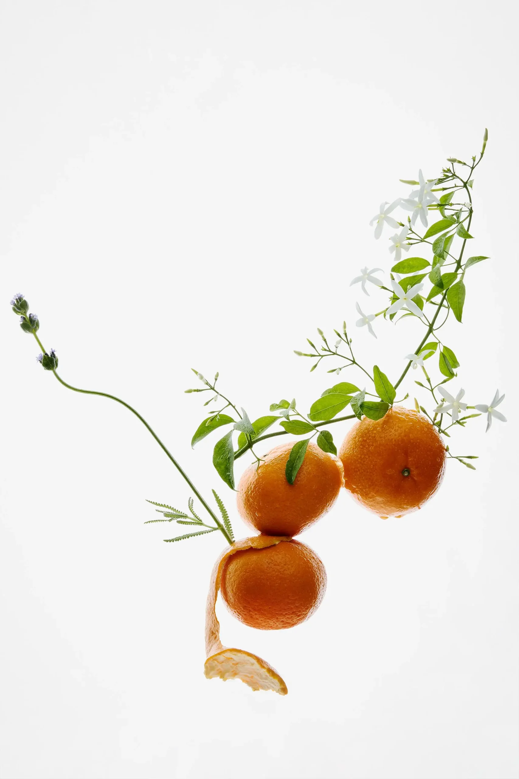 zara product image