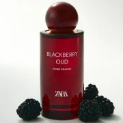 zara product image