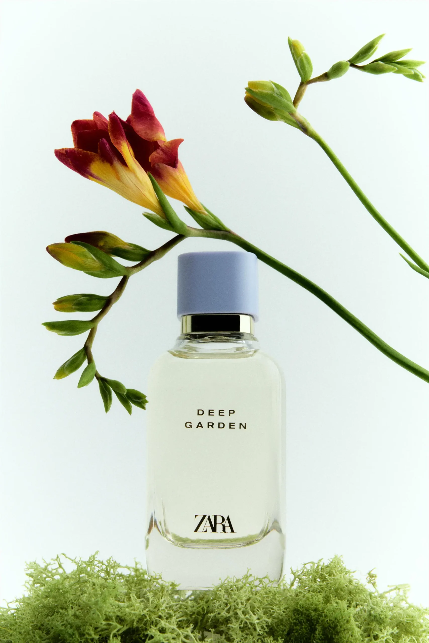zara product image