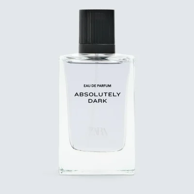عطر ادو پرفیوم Absolutely Dark مردانه 100 میلی‌لیتر zara