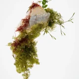 zara product image
