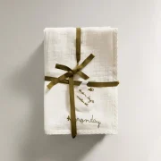 zara product image