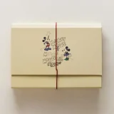 zara product image