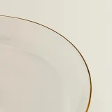 zara product image