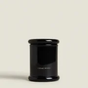 zara product image