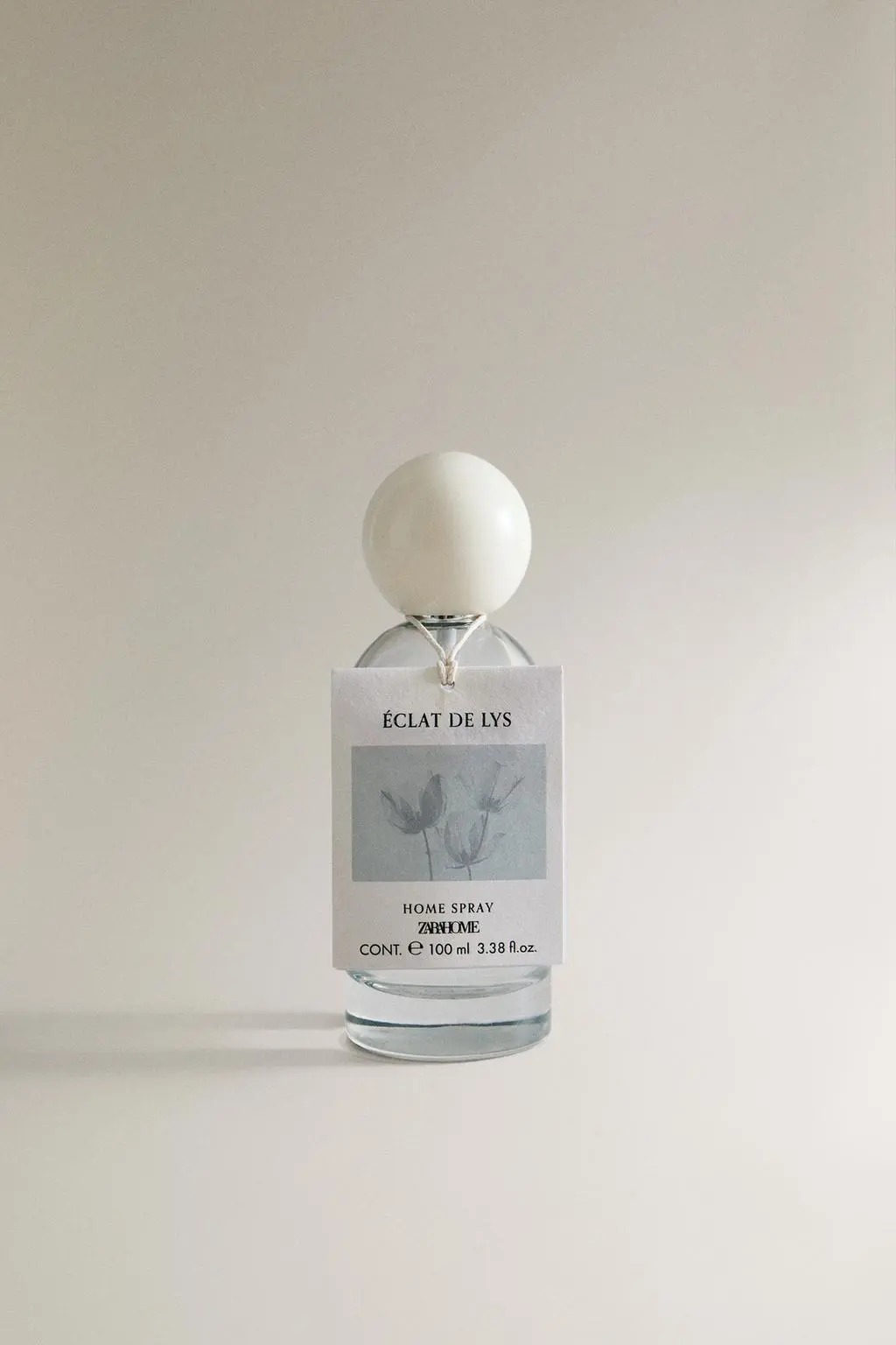 zara product image