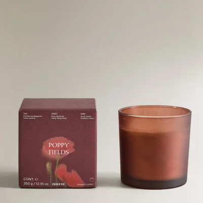 شمع معطر لوکس با رایحه وانیل و دارچین zara