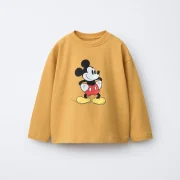zara product image