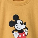 zara product image