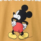 zara product image