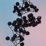 zara product image