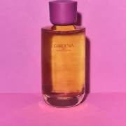 zara product image