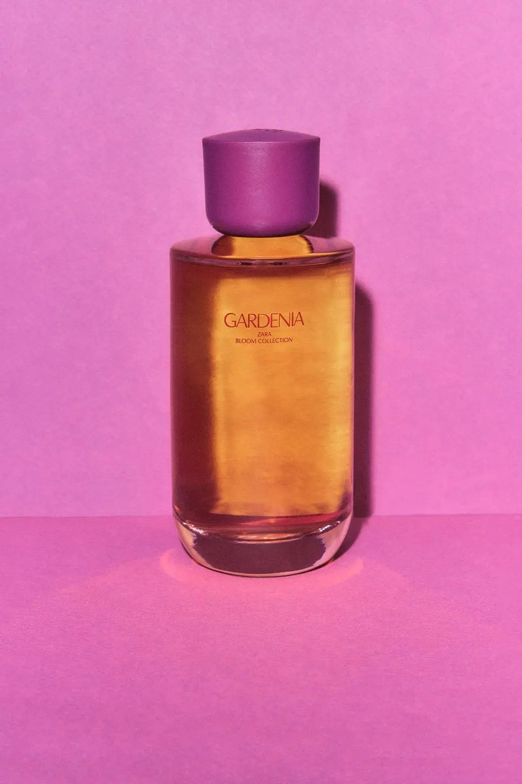 zara product image