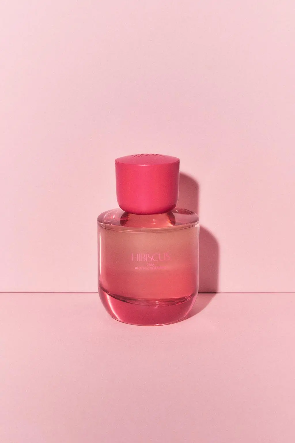 zara product image