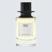 zara product image