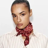 zara product image