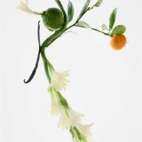 zara product image