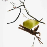 zara product image