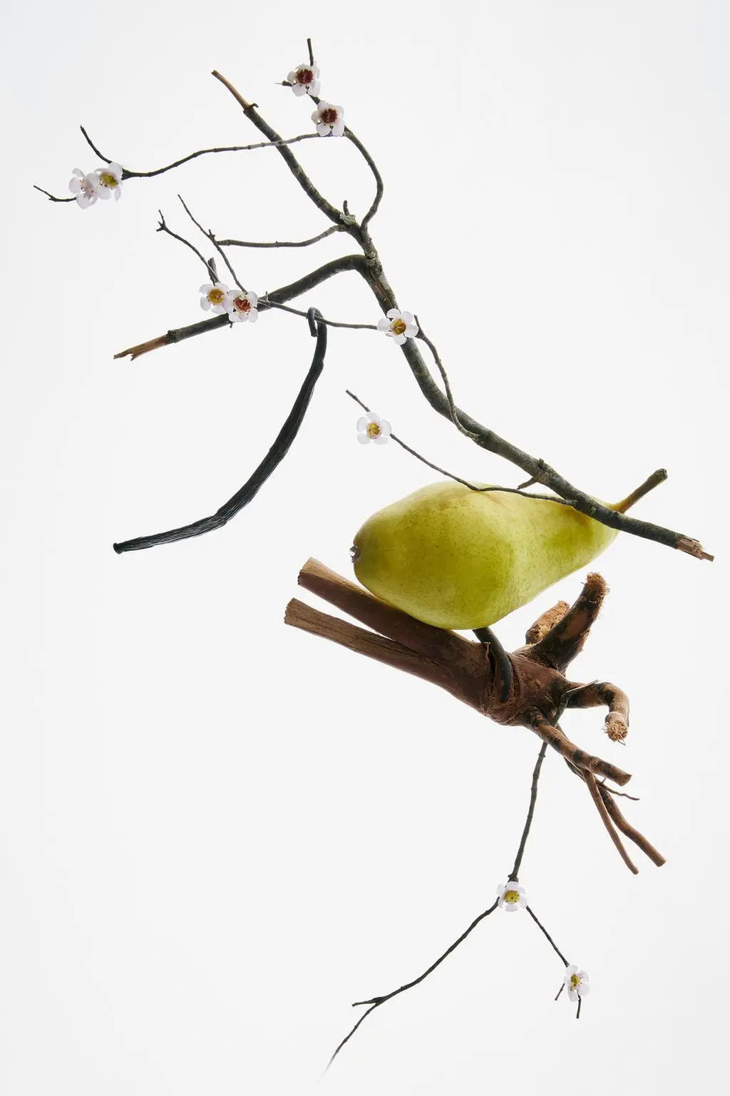 zara product image