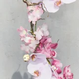 zara product image
