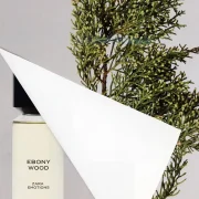 zara product image