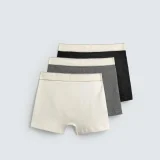 zara product image