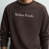 zara product image